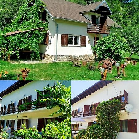 Вилла Complex Adela Transfagarasan Кырцишоара Экстерьер фото