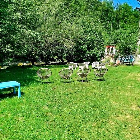 Вилла Complex Adela Transfagarasan Кырцишоара Экстерьер фото