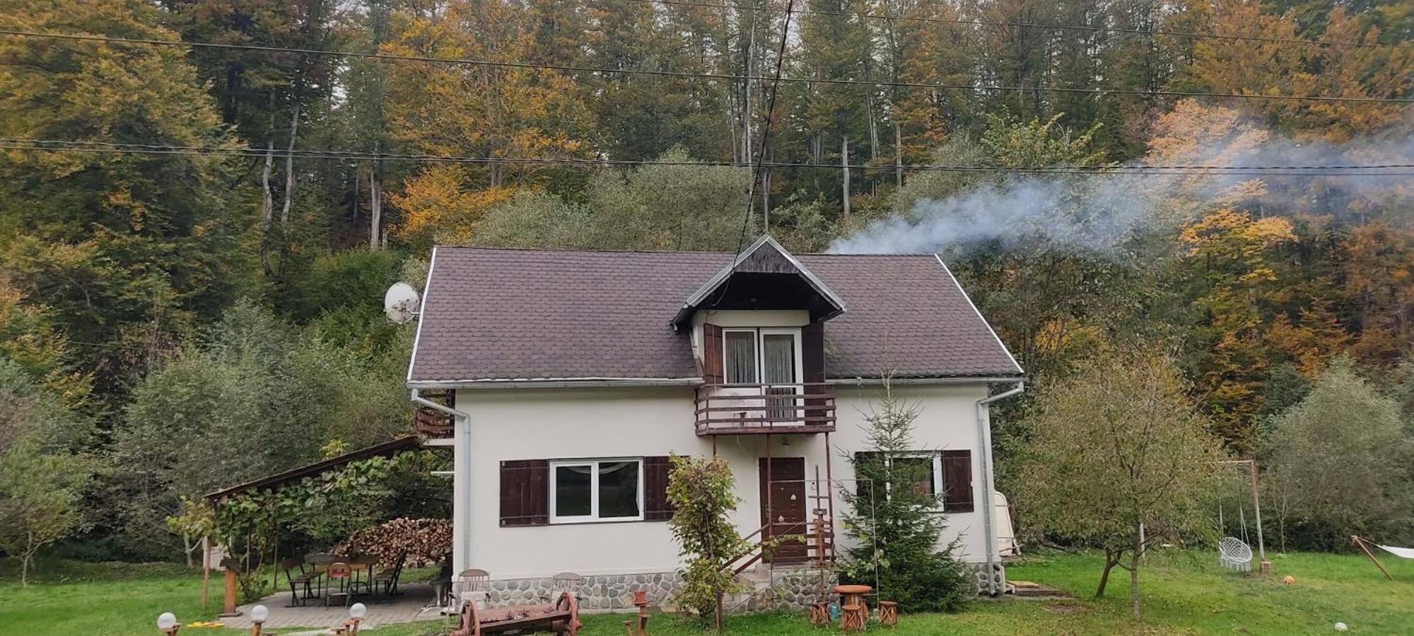 Вилла Complex Adela Transfagarasan Кырцишоара Экстерьер фото