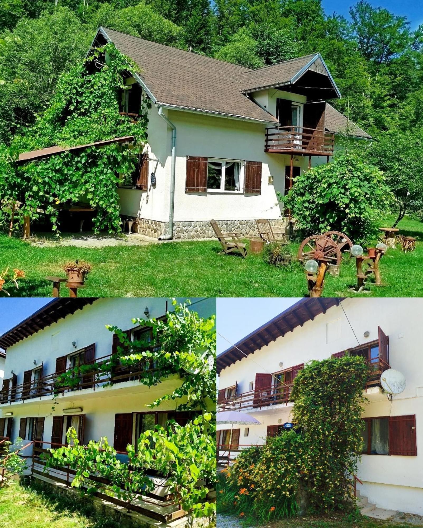 Вилла Complex Adela Transfagarasan Кырцишоара Экстерьер фото
