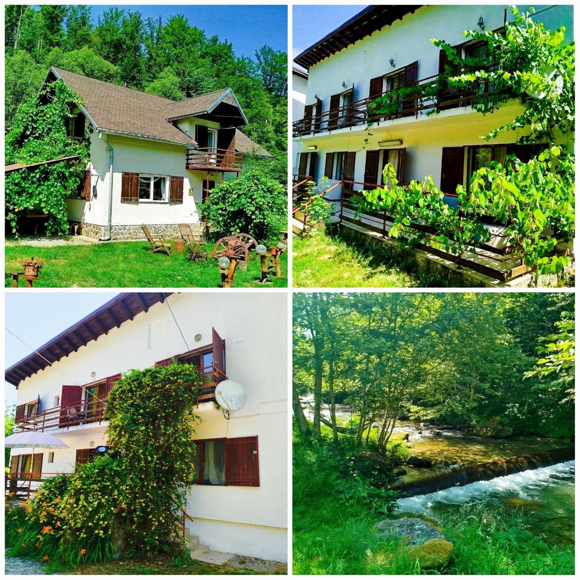 Вилла Complex Adela Transfagarasan Кырцишоара Экстерьер фото