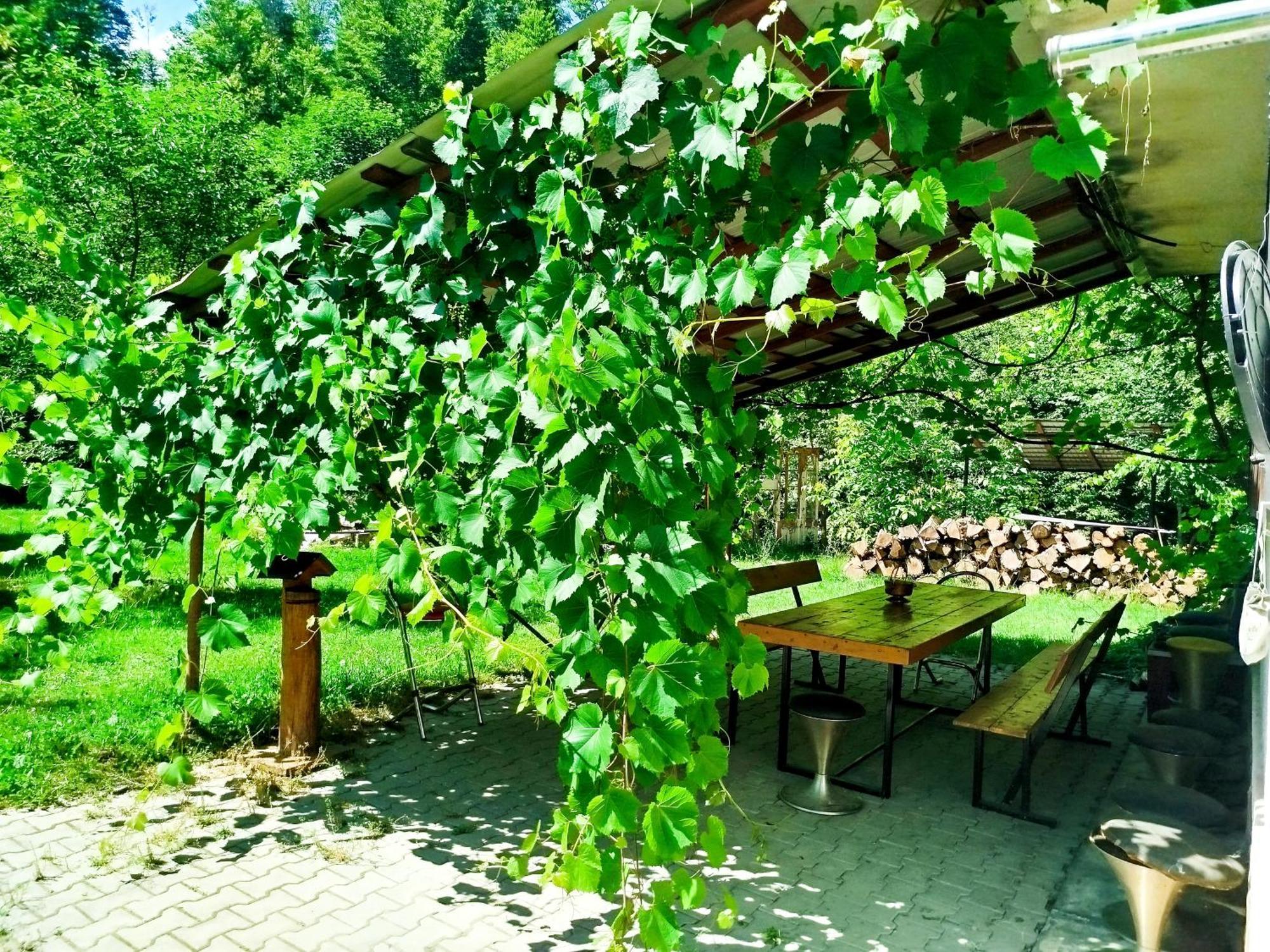 Вилла Complex Adela Transfagarasan Кырцишоара Экстерьер фото