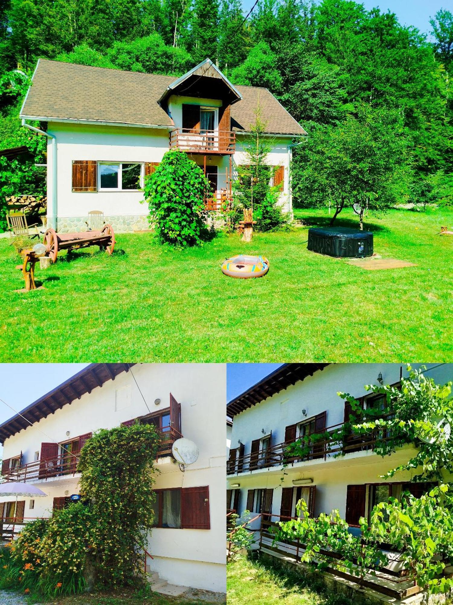 Вилла Complex Adela Transfagarasan Кырцишоара Экстерьер фото